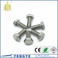 stainless steel 304 316 Hex Head Bolt